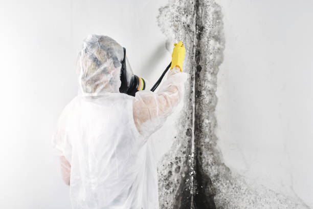 Best Commercial water damage restoration  in Hobbs, NM