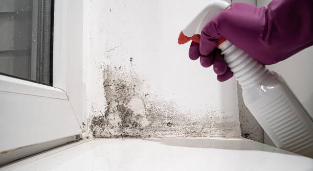 Best Commercial water damage restoration  in Hobbs, NM